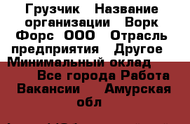 Грузчик › Название организации ­ Ворк Форс, ООО › Отрасль предприятия ­ Другое › Минимальный оклад ­ 27 000 - Все города Работа » Вакансии   . Амурская обл.